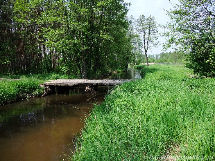 Krztynia spływ kajakowy, drewniany mostek k/Tęgoborza