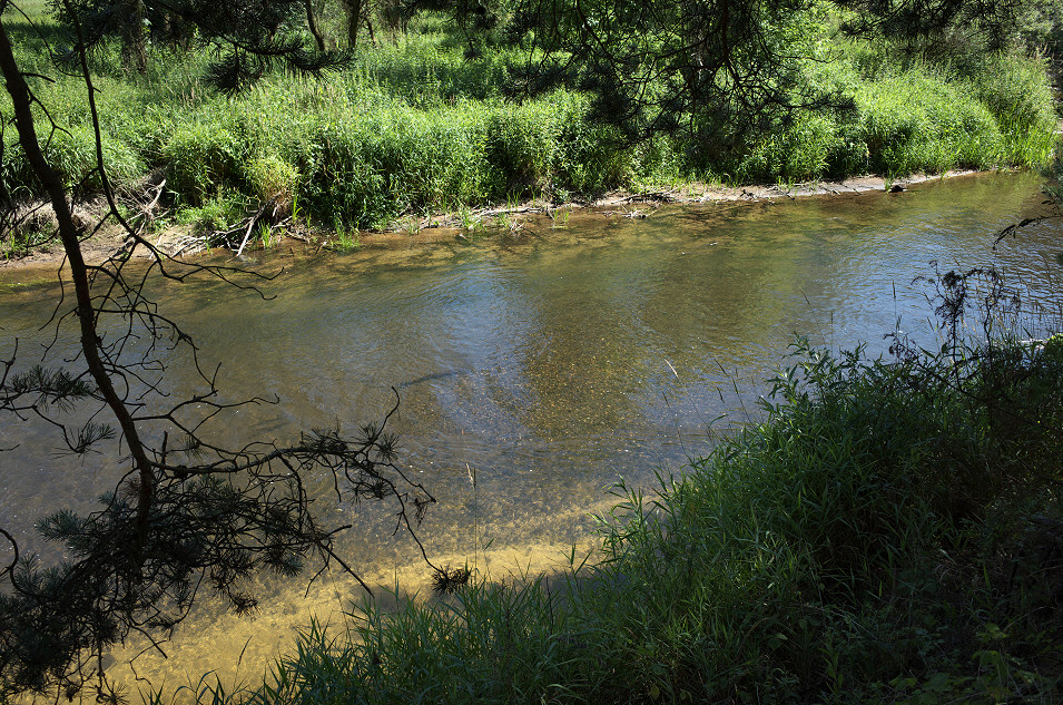 Spływ kajakowy Liswartą
